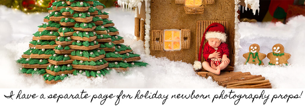 Holiday Props Home Page Banner