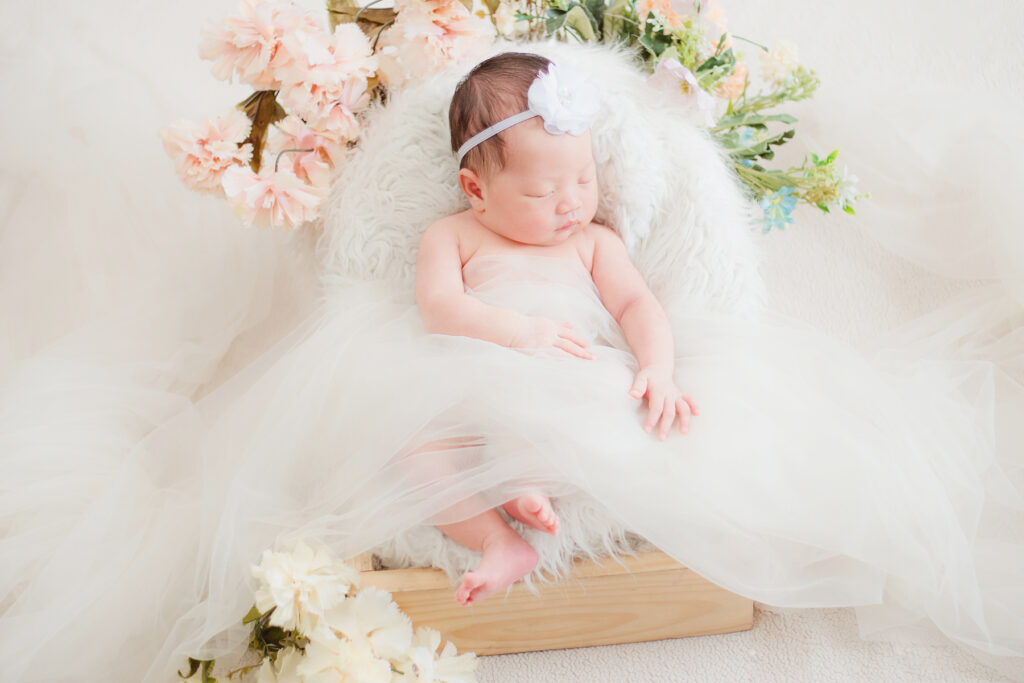 Newborn Baby Girl Photo Shoot